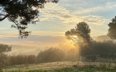 De la peur du changement à l’éveil de soi